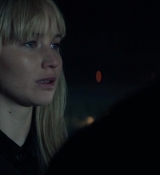 Red_Sparrow_28165629.jpg
