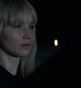 Red_Sparrow_28165929.jpg