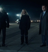 Red_Sparrow_28166129.jpg