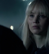 Red_Sparrow_28167329.jpg
