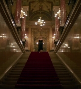 Red_Sparrow_28169529.jpg