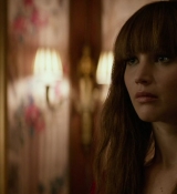 Red_Sparrow_2828529.jpg