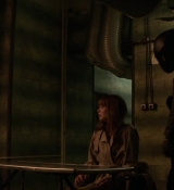 Red_Sparrow_2832929.jpg