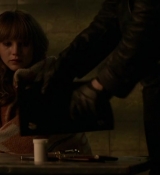 Red_Sparrow_2833429.jpg