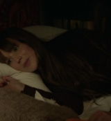 Red_Sparrow_2854629.jpg