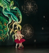 Red_Sparrow_286429.jpg
