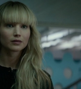 Red_Sparrow_2871129.jpg