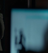 Red_Sparrow_2880829.jpg