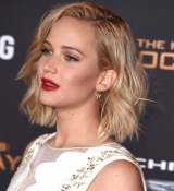 63110474_315-1.jpg