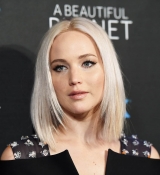 000_2811629.jpg