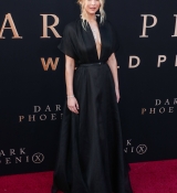 PremiereDark_Phoenix__2811929.jpg