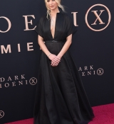 PremiereDark_Phoenix__2815129.jpg