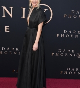 PremiereDark_Phoenix__2816829.jpg